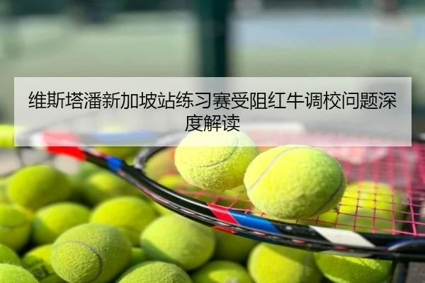 维斯塔潘新加坡站练习赛受阻红牛调校问题深度解读