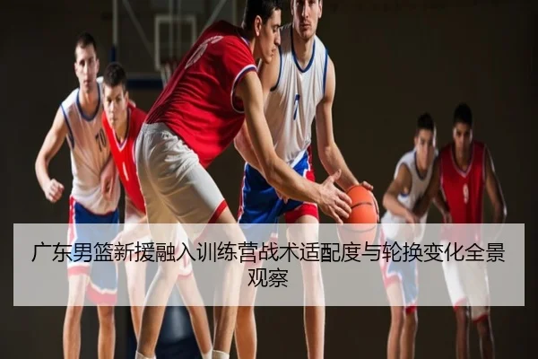 广东男篮新援融入训练营战术适配度与轮换变化全景观察